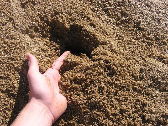 Bračický ostrý písek
